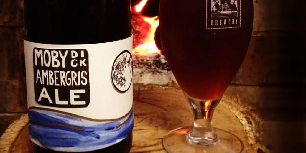 Australianos lançam cerveja de 'vómito de baleia'