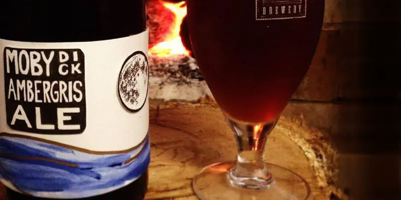 Australianos lançam cerveja de 'vómito de baleia'