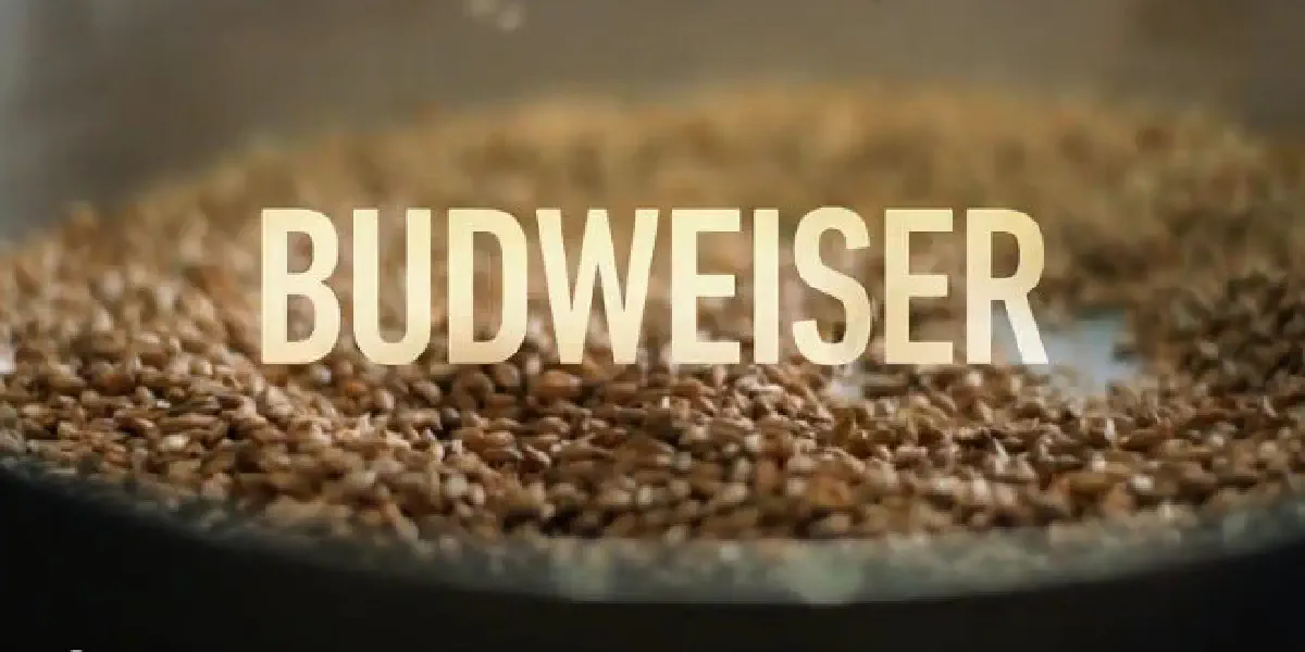 Budweiser provoca cervejeiros artesanais em anúncio do Super Bowl