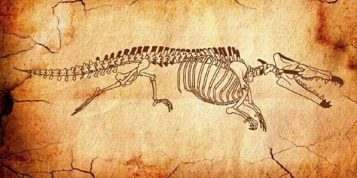 Cerveja com levedura de fóssil de baleia com 35 milhões de anos
