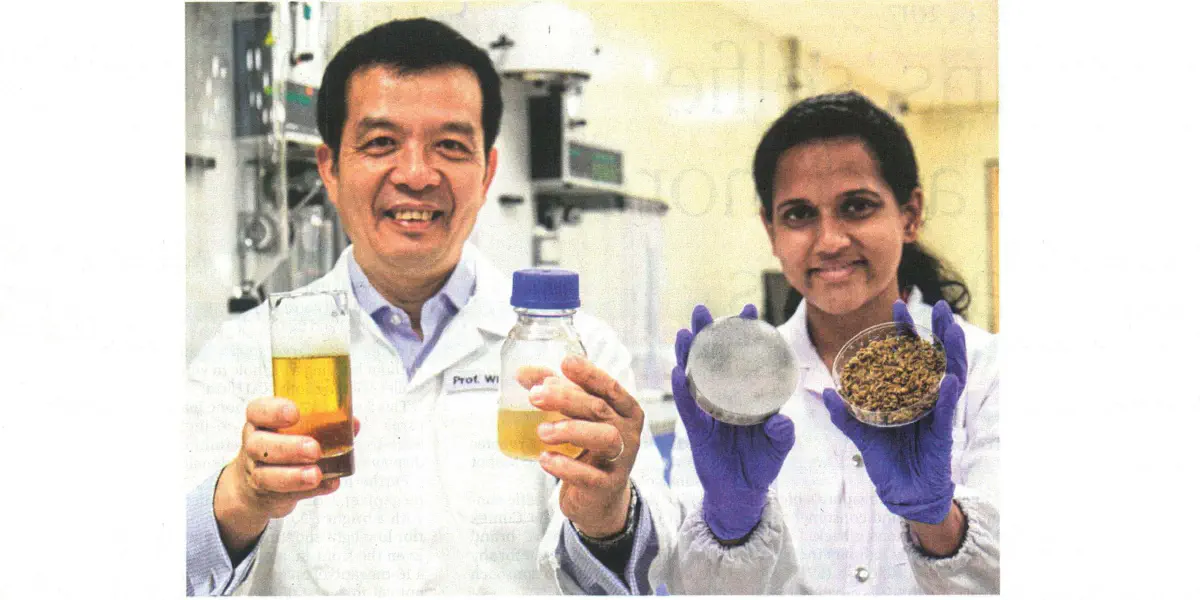 Cientistas transformam grão utilizado na produção da cerveja em nutriente para levedura