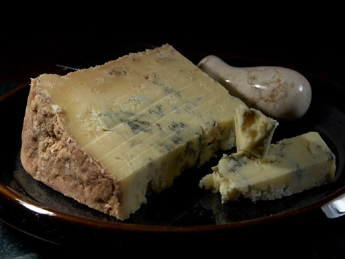 Europeus consumiam cerveja com queijo maturado há 2700 anos