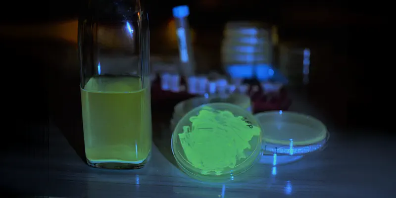 Ex-biólogo da NASA cria cerveja fluorescente