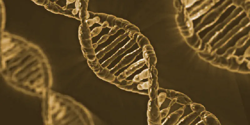 Genes decisivos na percepção do sabor do álcool