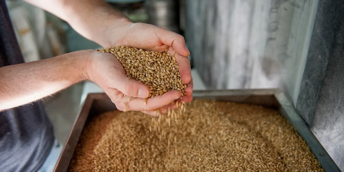 O custo de produção de cerveja vai aumentar devido à guerra na Ucrânia