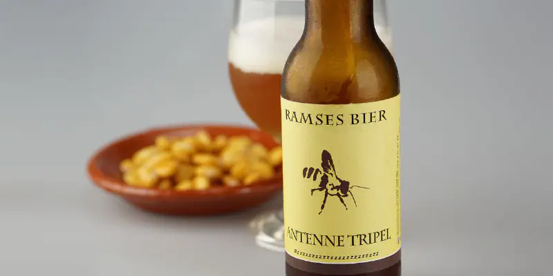 Ramses Bier Antenne Tripel