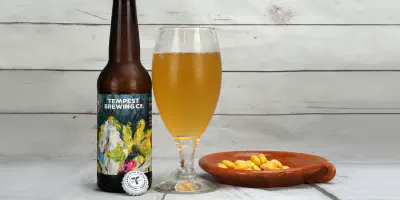 Tempest-Mango-Berlinner-feat.jpg